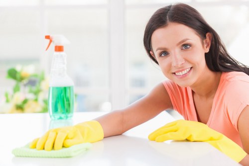 Professional pet stain odour removal in a Bethnal Green living room