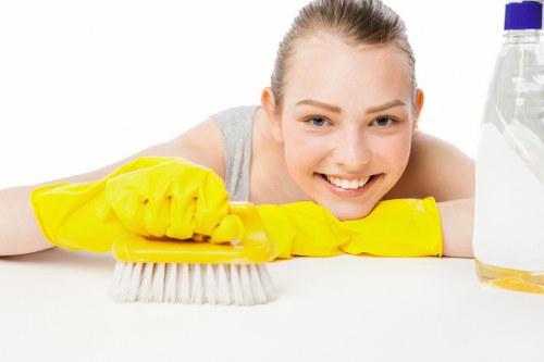Professional carpet cleaning standards and careful treatment of fibres