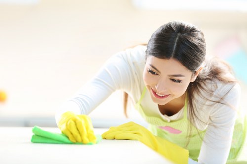 Professional stain treatment process for upholstery
