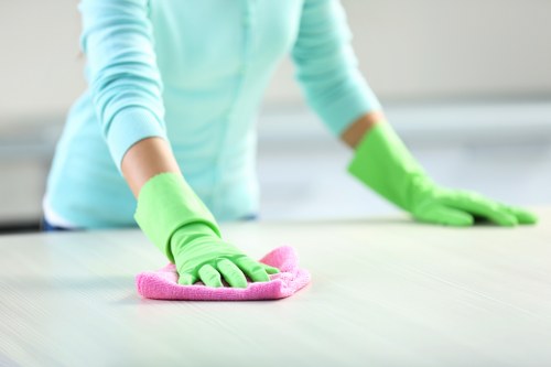 Final stage of carpet cleaning showing a brighter and fresher flooring result