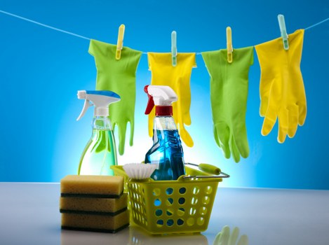 Professional carpet cleaning equipment for business premises